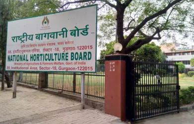 पॉलीहाउस सब्सिडी 50% से घटकर 35%, किसानों के विरोध के बाद NHB का स्पष्टीकरण