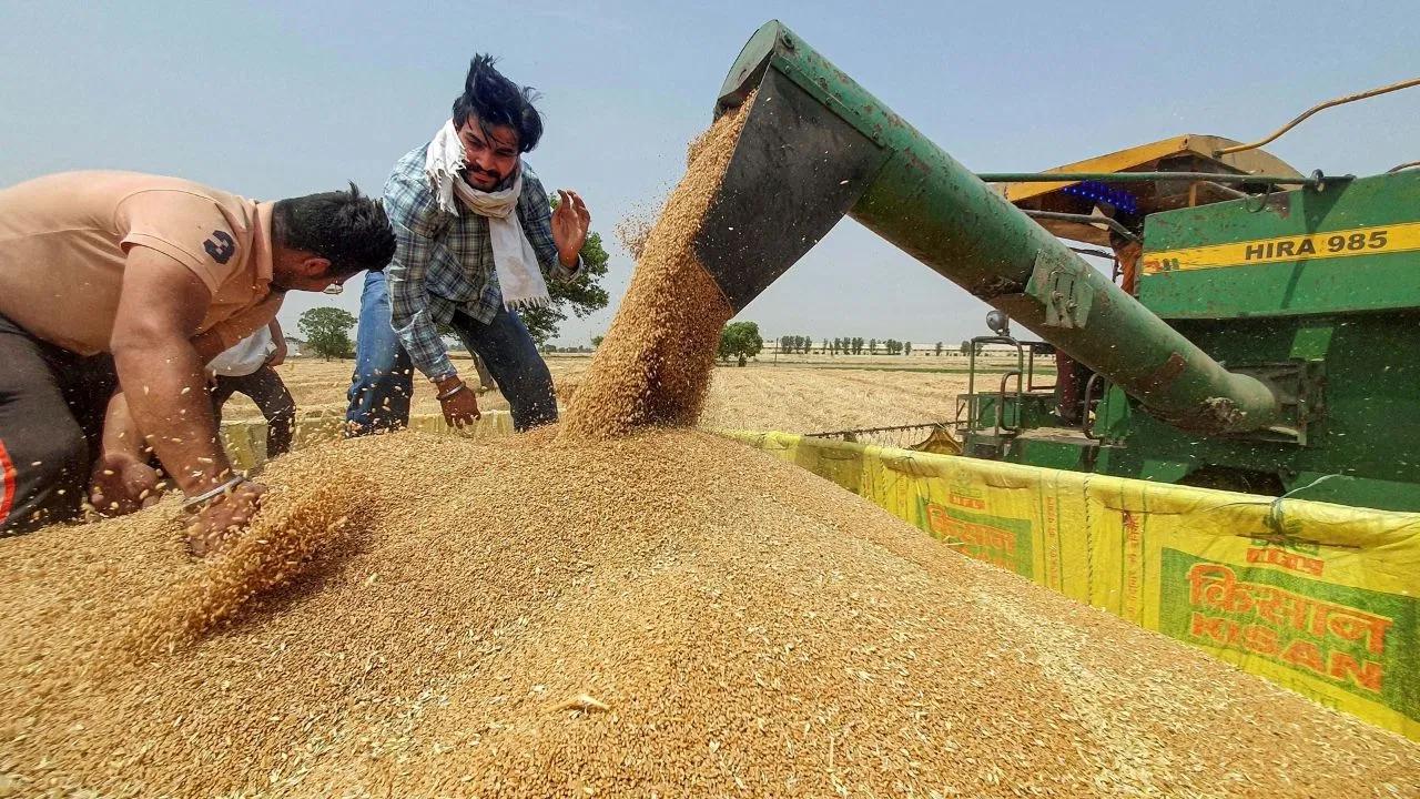 खाद्य सुरक्षा का प्रबंधन करने और सट्टेबाजी को रोकने के लिए गेहूं के स्टॉक पर केंद्र सरकार का बड़ा फैसला