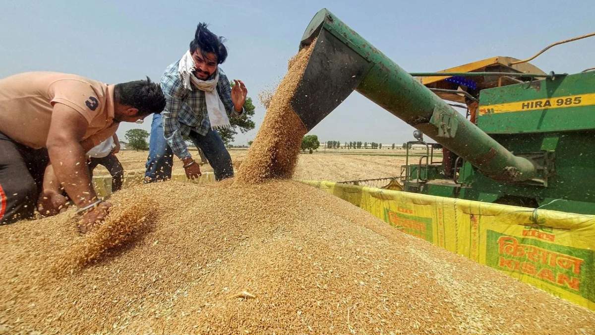 राजस्थान में 10 मार्च से शुरू होगी MSP पर गेहूं की ख़रीद, किसानों को मिलेगा 150 रुपये का बोनस