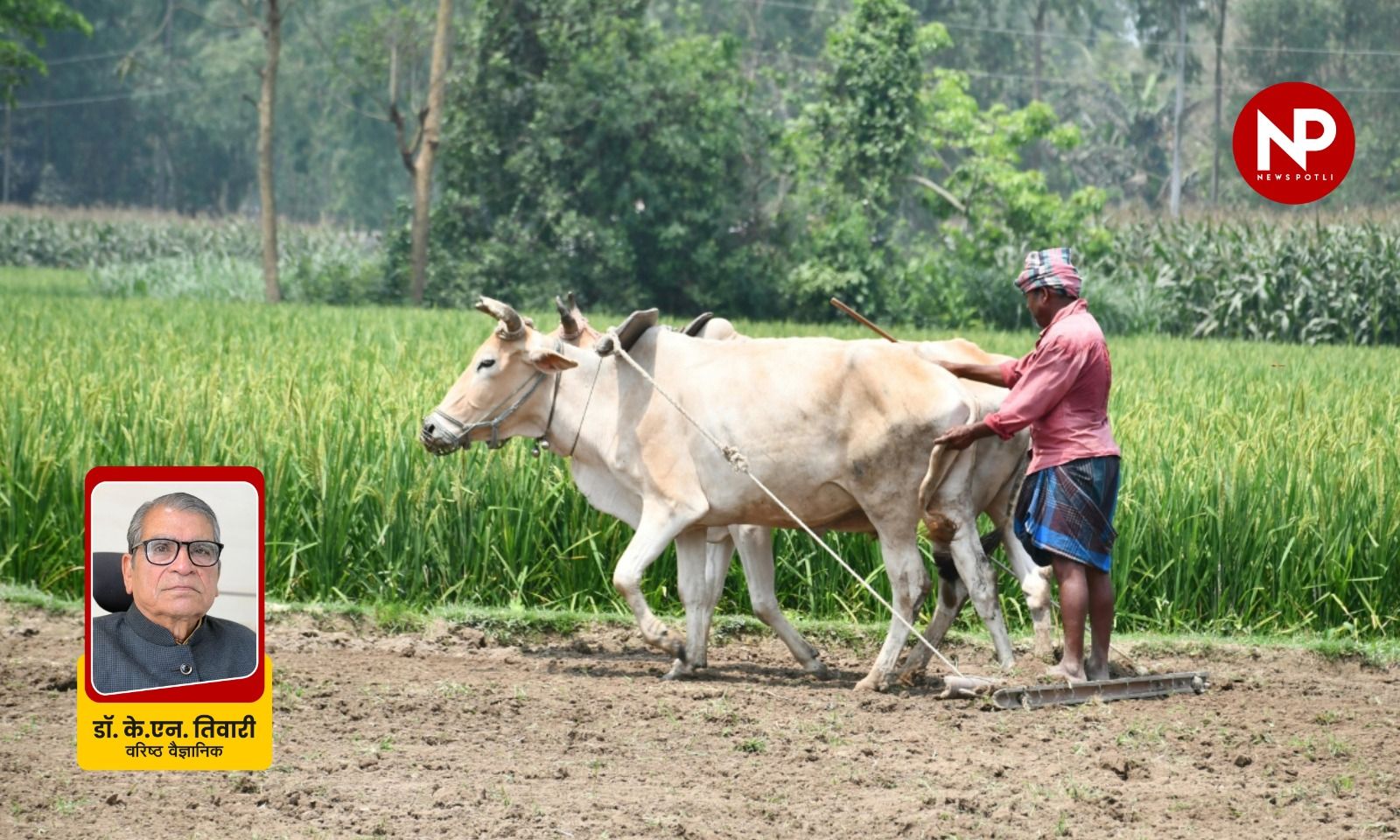 बजट 2026 से कृषि और किसानों के लाभ-हानि का लेखा-जोखा— प्रो. के.एन. तिवारी