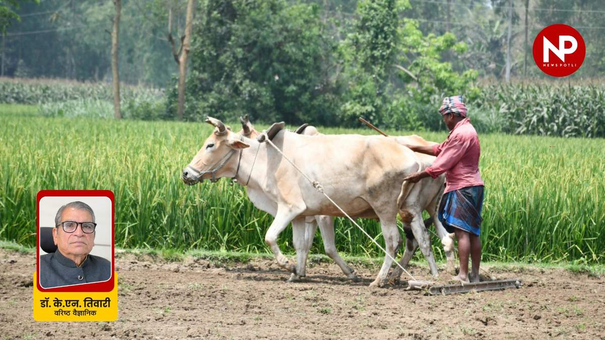 बजट 2026 से कृषि और किसानों के लाभ-हानि का लेखा-जोखा— प्रो. के.एन. तिवारी