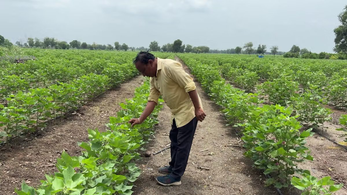 PM Kisan की 24वीं किस्त का इंतजार खत्म, 30 अक्टूबर को जारी होगा पैसा
