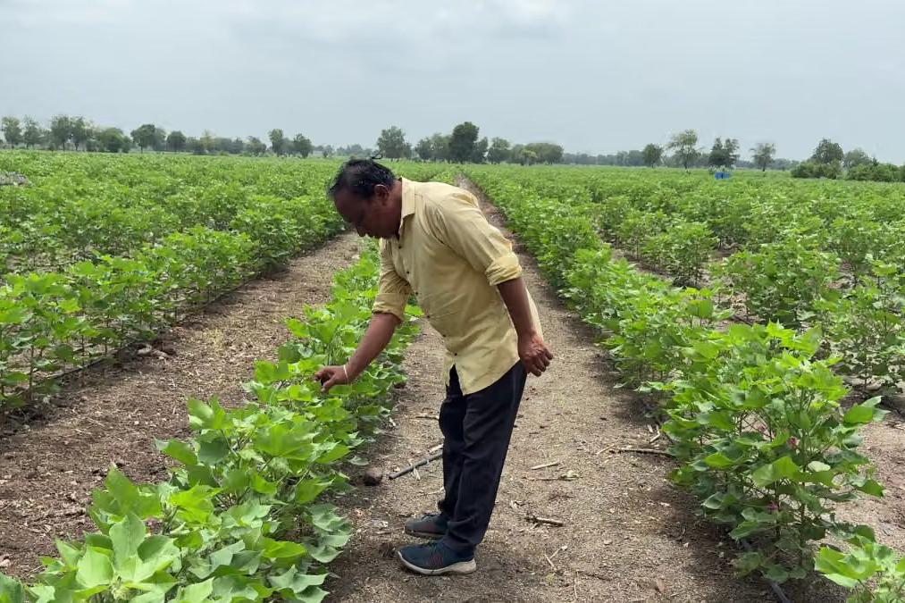 PM Kisan की 24वीं किस्त का इंतजार खत्म, 30 अक्टूबर को जारी होगा पैसा