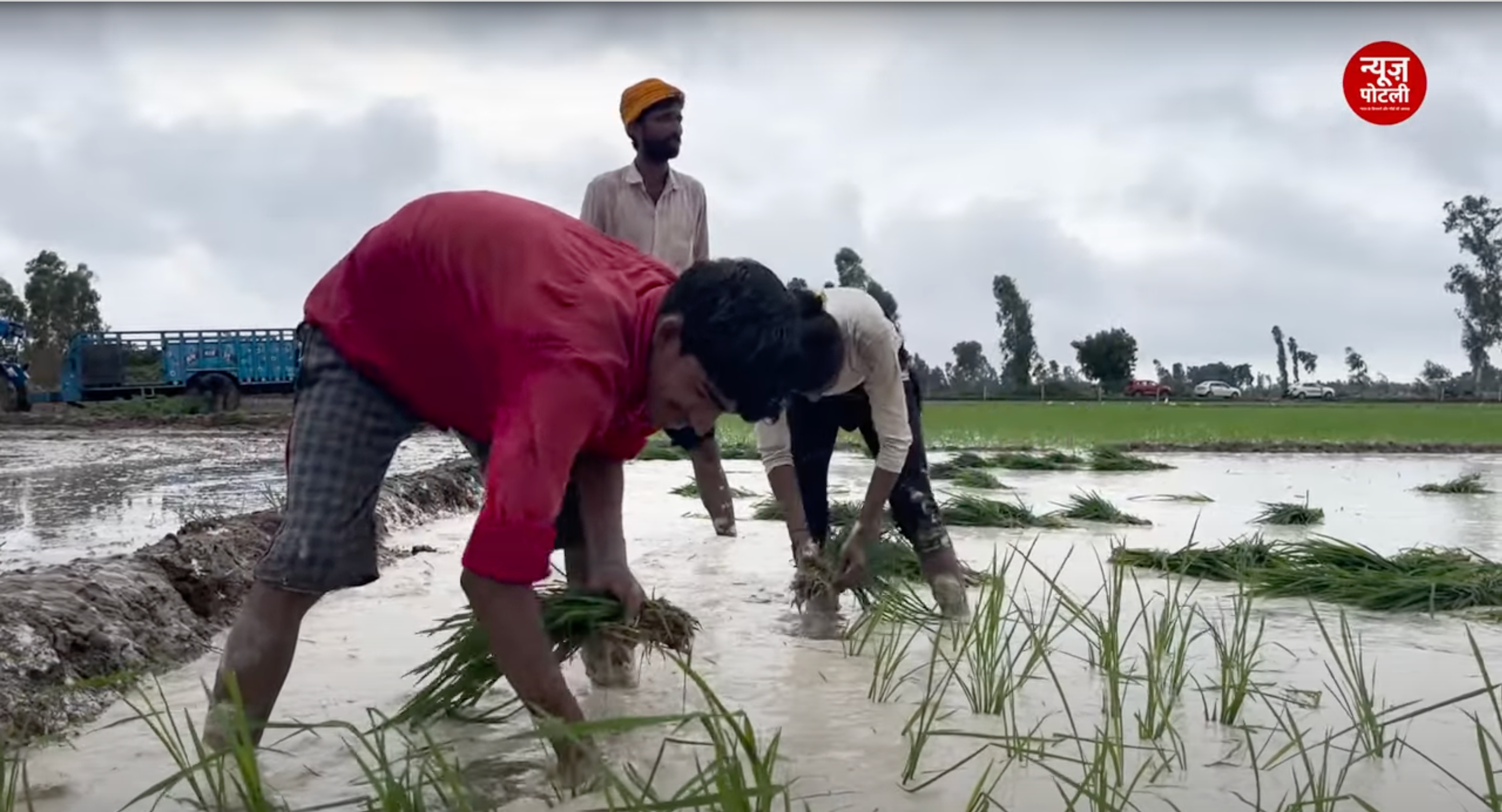 धान की जगह इन फसलों की खेती से जलवायु परिवर्तन के खिलाफ लड़ाई आसान होगी: अध्ययन