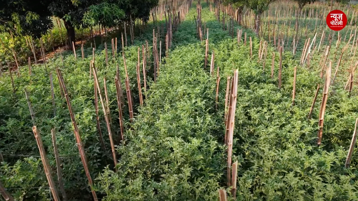 National Mission on Natural Farming से मिलेगा प्राकृतिक खेती को बढ़ावा