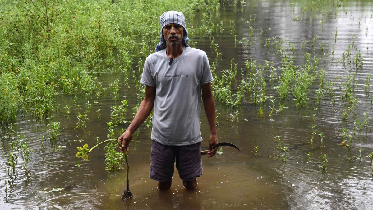 बंगाल में भारी बारिश से फसल बर्बाद