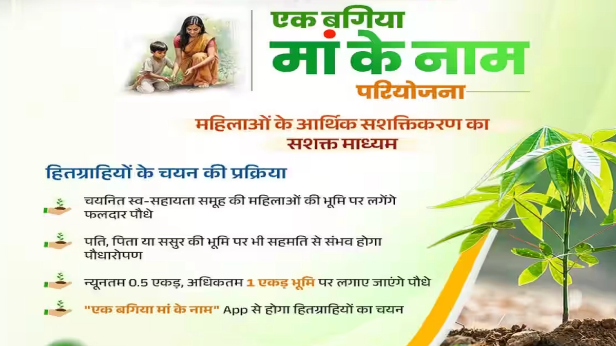 'एक बगिया मां के नाम' योजना के तहत 30 हजार एकड़ भूमि पर बाग लगाने का लक्ष्य, इस राज्य की महिलाएं कर सकती हैं आवेदन