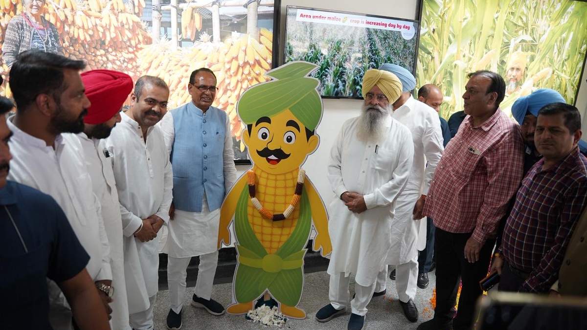 पंजाब के किसानों को बड़ी राहत, बाढ़ पीड़ितों और फसल नुकसान की भरपाई का ऐलान