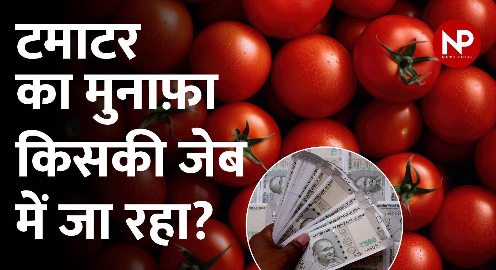 टमाटर की महंगाई: किसान या व्यापारी कौन कमा रहा है महंगाई में मुनाफा?