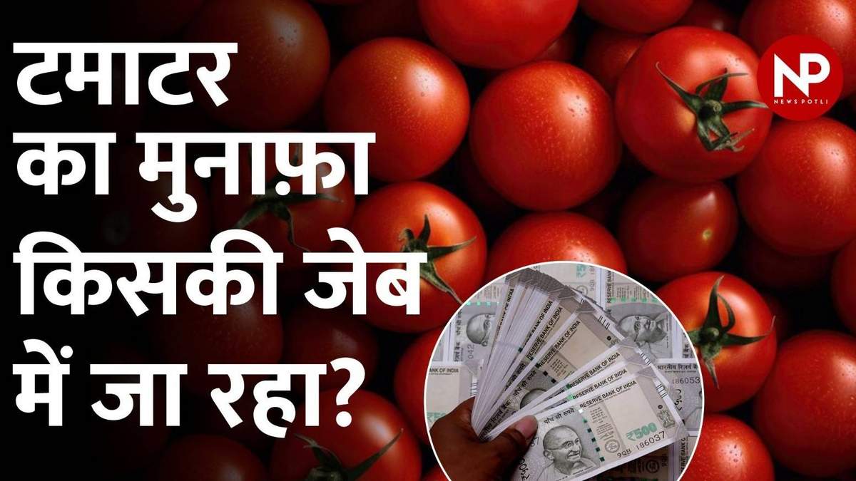 टमाटर की महंगाई: किसान या व्यापारी कौन कमा रहा है महंगाई में मुनाफा?