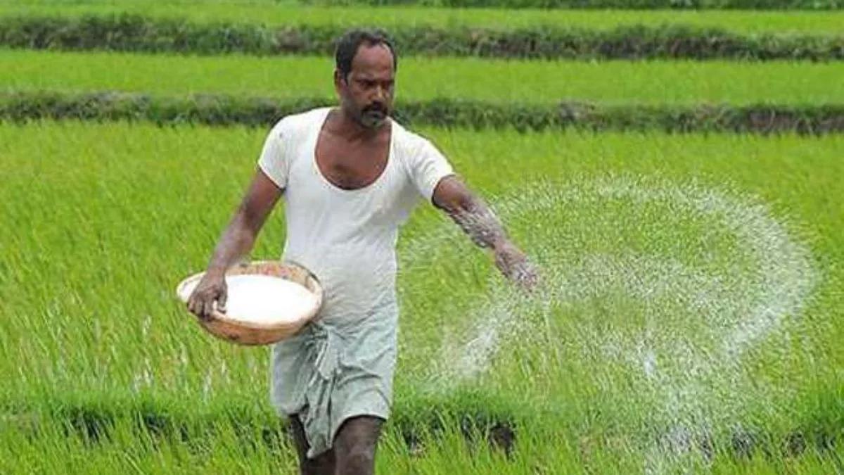 नवंबर–दिसंबर में यूरिया-DAP की बढ़ती मांग, सरकार के सामने आपूर्ति की चुनौती