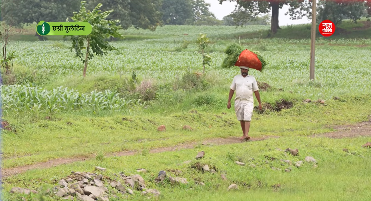 खेती किसानी 