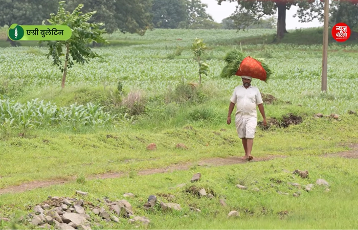 खेती किसानी