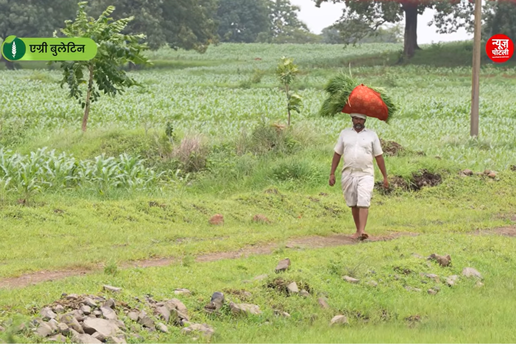 खेती किसानी