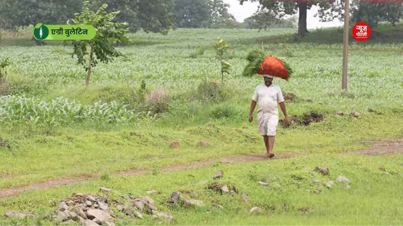 खेती किसानी