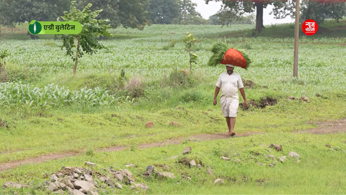 खेती किसानी
