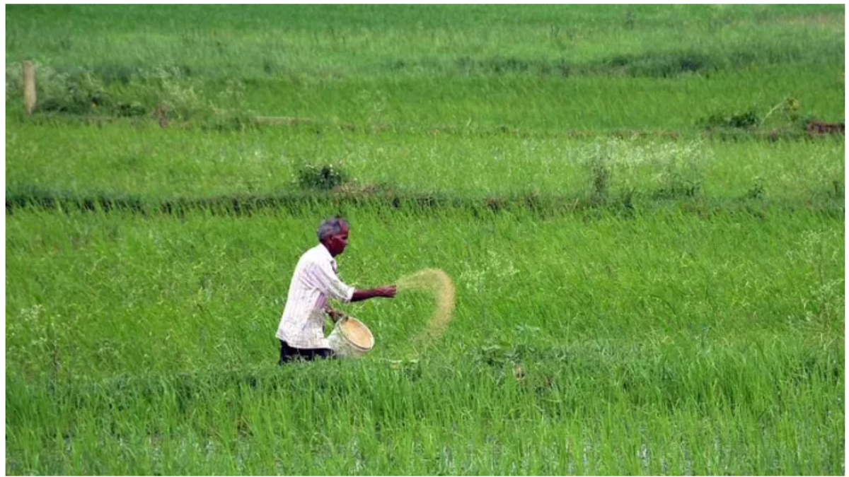 उर्वरक कंपनियों ने सरकार से मांगी राहत, कच्चे माल पर GST घटाने की अपील