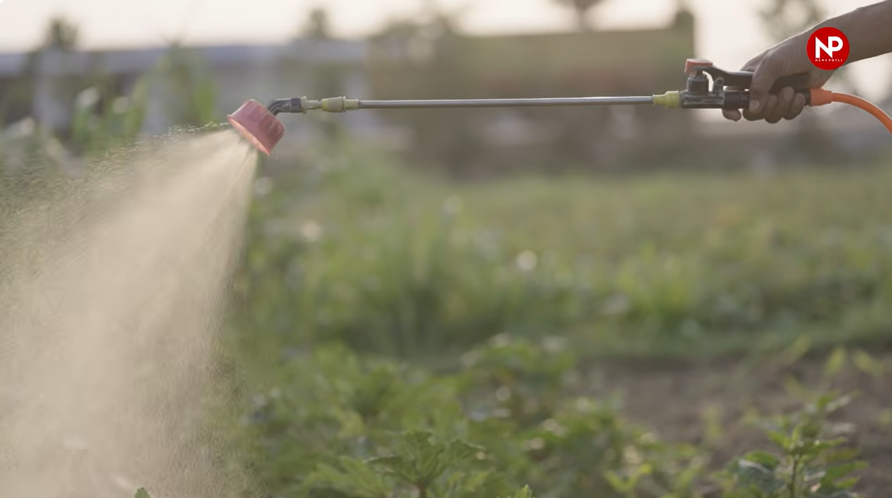 SOMS एक ऐसा पोषण प्रबंधन मॉडल है, जिसमें पानी में घुलनशील उर्वरक (Soluble Fertilizers), जैविक उर्वरक (Organic Fertilizers), सूक्ष्म पोषक तत्व (Micronutrients) और बायो-स्टिमुलेंट्स (Bio-Stimulants) का संतुलित और जरूरत के अनुसार उपयोग किया जाता है।