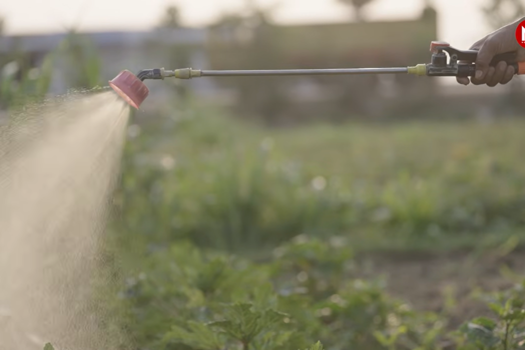 SOMS एक ऐसा पोषण प्रबंधन मॉडल है, जिसमें पानी में घुलनशील उर्वरक (Soluble Fertilizers), जैविक उर्वरक (Organic Fertilizers), सूक्ष्म पोषक तत्व (Micronutrients) और बायो-स्टिमुलेंट्स (Bio-Stimulants) का संतुलित और जरूरत के अनुसार उपयोग किया जाता है।