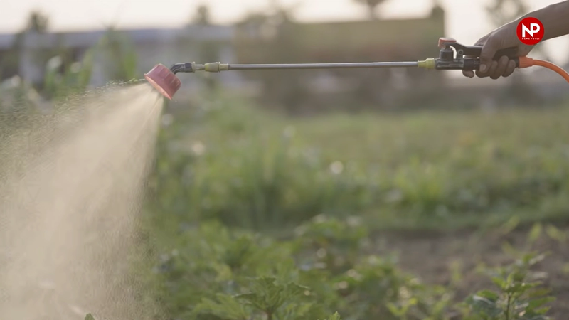 SOMS एक ऐसा पोषण प्रबंधन मॉडल है, जिसमें पानी में घुलनशील उर्वरक (Soluble Fertilizers), जैविक उर्वरक (Organic Fertilizers), सूक्ष्म पोषक तत्व (Micronutrients) और बायो-स्टिमुलेंट्स (Bio-Stimulants) का संतुलित और जरूरत के अनुसार उपयोग किया जाता है।