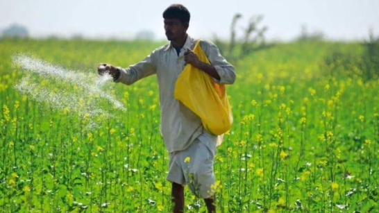 खेती में सिर्फ NPK नहीं, सल्फर भी है जरूरी; जानिए क्यों