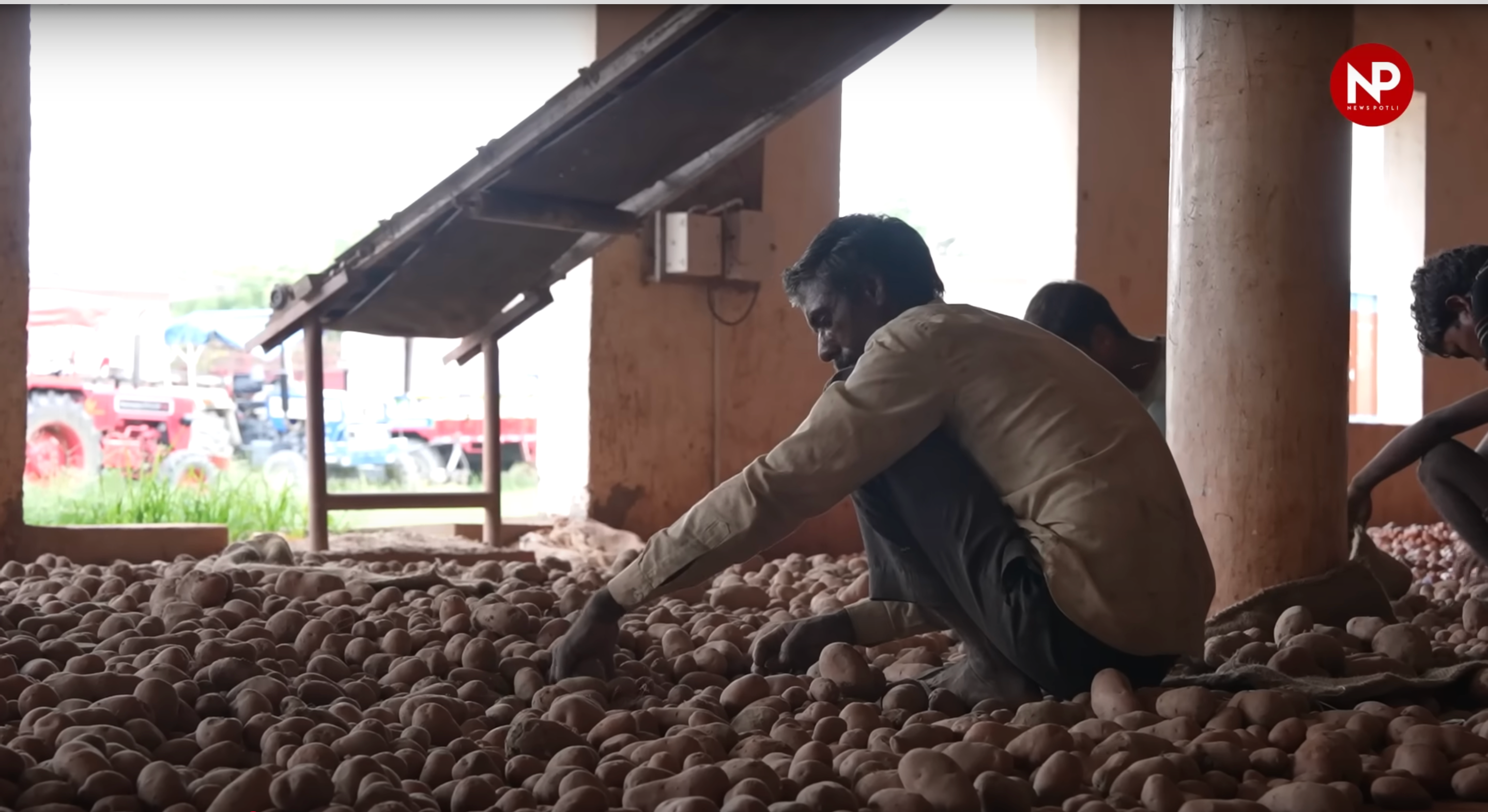 क्यों गिरे आलू के दाम? सही वजह अब पता चली