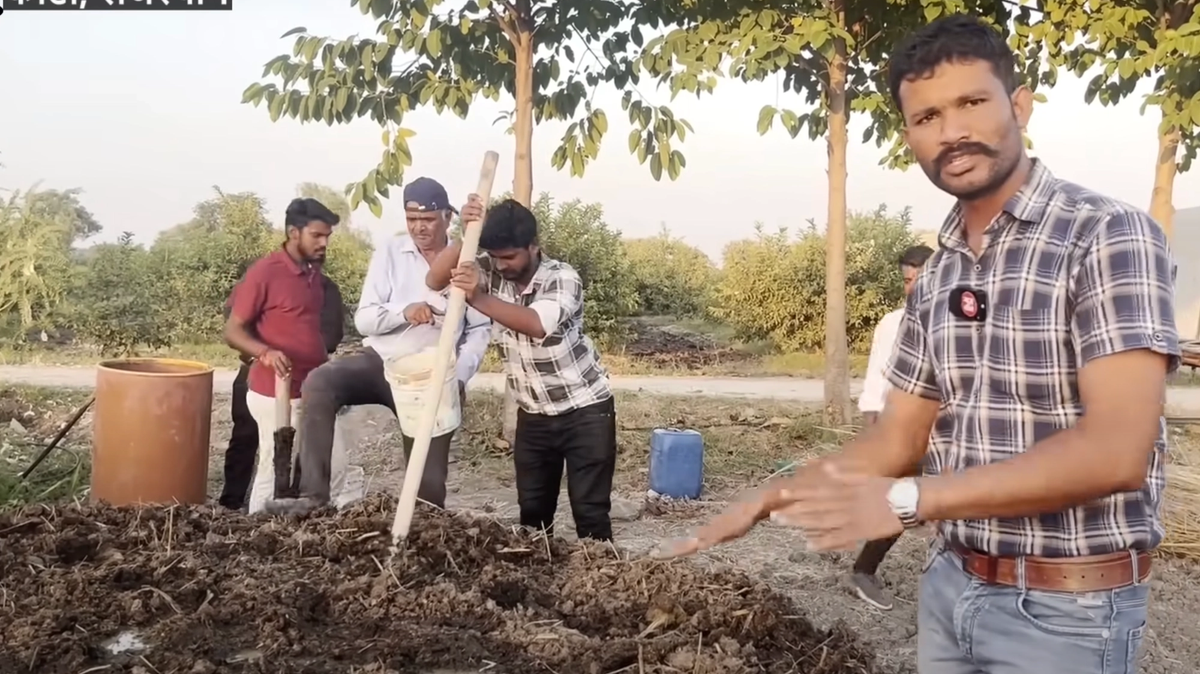प्राकृतिक खेती के लिए बहुत उपयोगी है गुड़, गाय का गोबर और छांछ से तैयार किया हुआ यह जैविक खाद