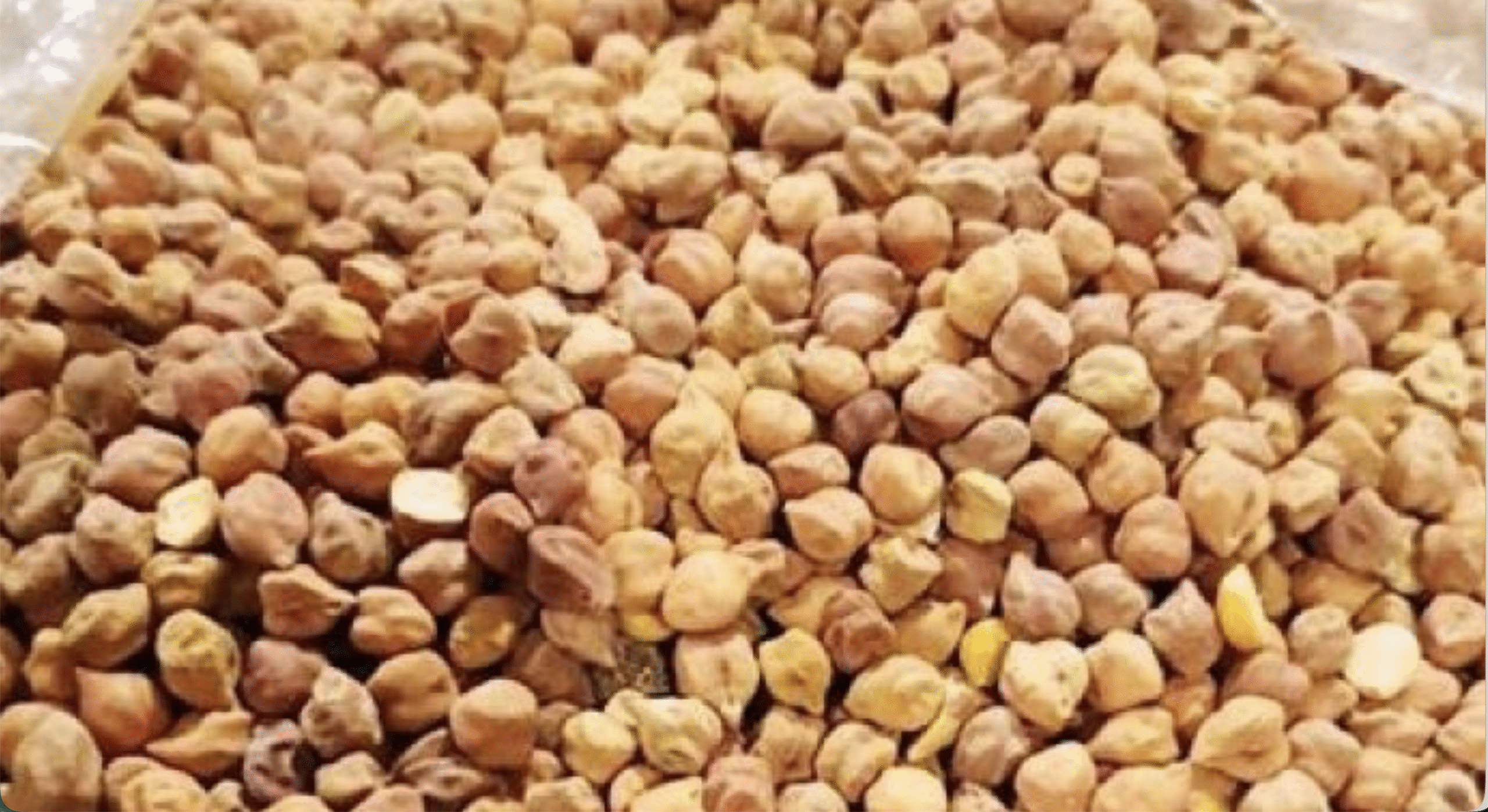 MSP से नीचे दाम: चना किसानों के हित में सिद्धारमैया ने पीएम मोदी से लगाई गुहार
