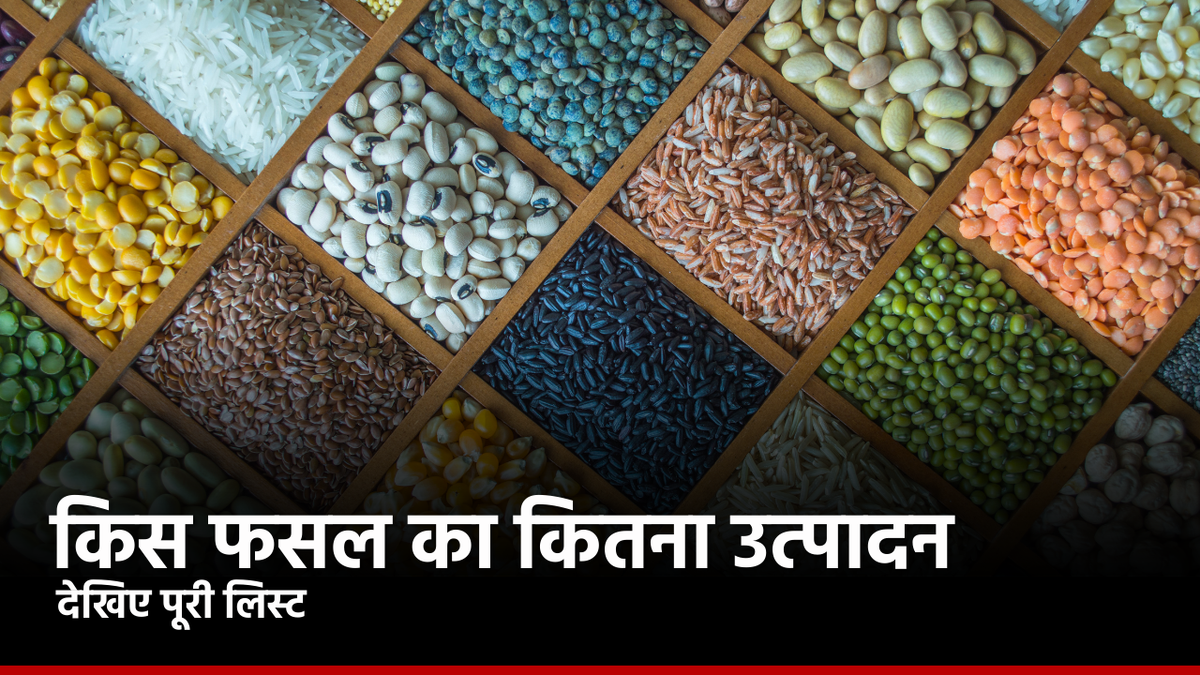 गेहूं, चावल का रिकॉर्ड उत्पादन, लेकिन कुल खाद्यान्न उत्पादन में गिरावट का अनुमान