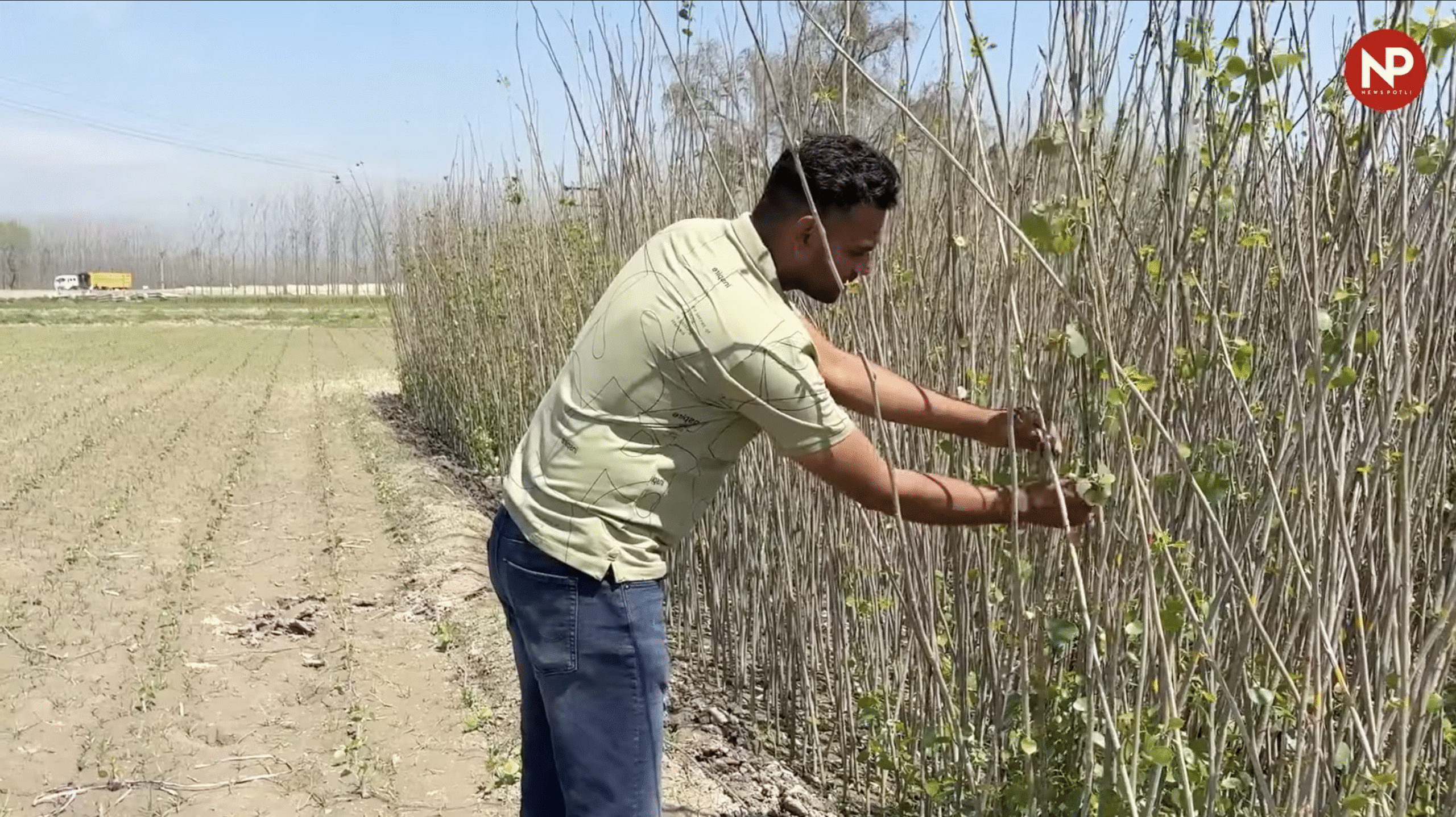 हरियाणा सरकार ने बढ़ाया किसानों का मुआवजा, 31 दिसंबर तक कराएं फसल बीमा