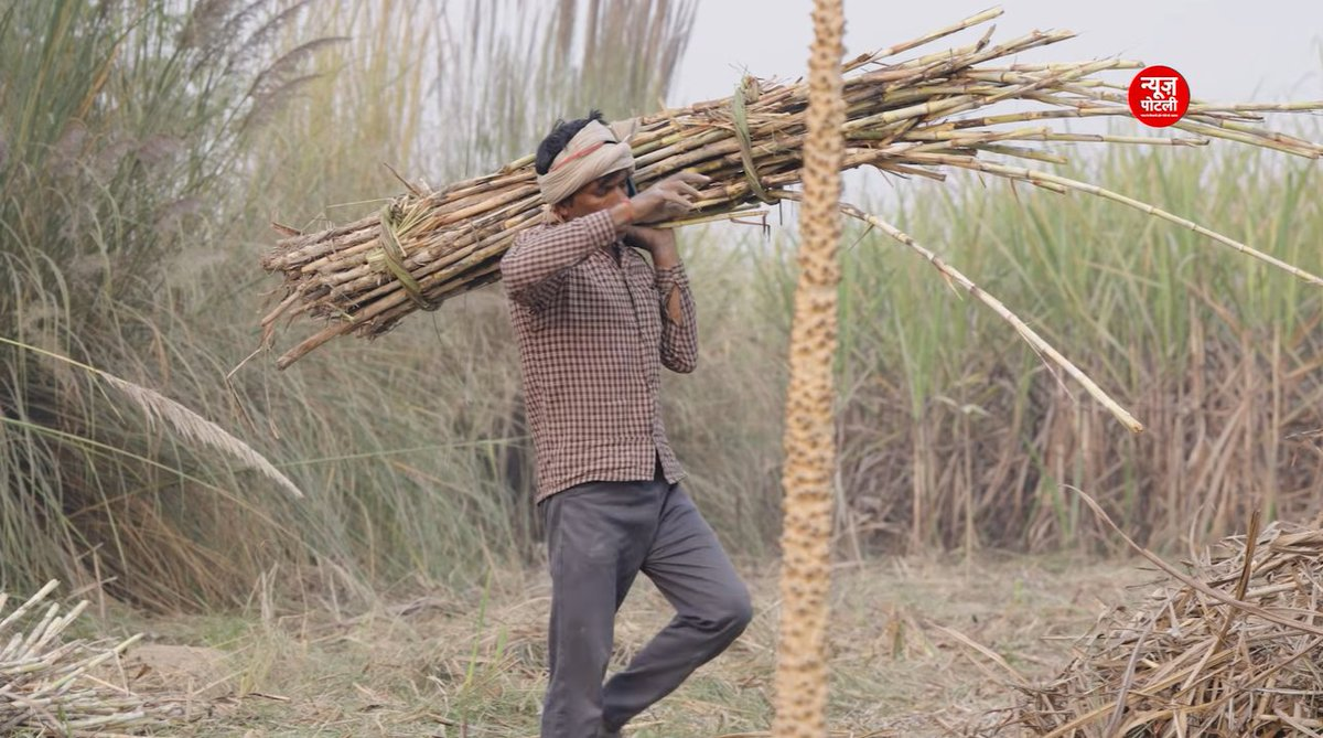 गन्ना किसानों के बकाया भुगतान के लिए महाराष्ट्र सरकार देगी 750 करोड़ का सॉफ्ट लोन