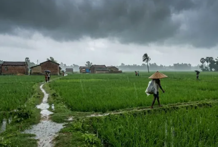 मौसम अपडेट: बिहार-झारखंड समेत कई राज्यों में बारिश का दौर जारी, अगले 3 दिनों तक अलर्ट