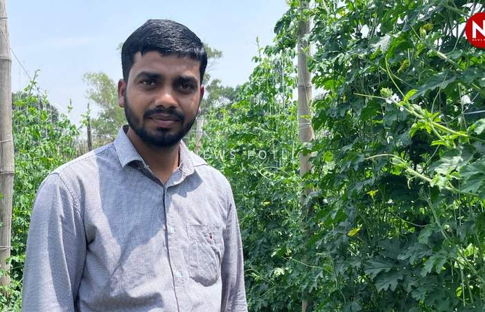 ऐसे करें स्ट्रॉबेरी और करेला की सहफसली खेती, होगा अच्छा मुनाफा