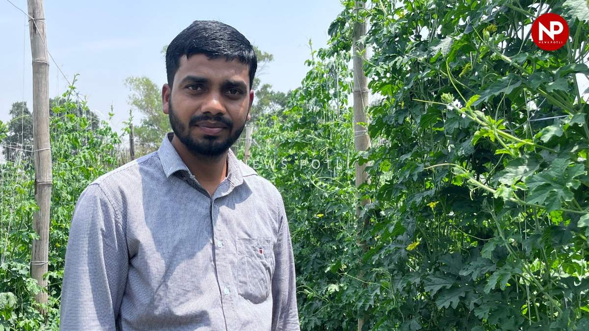ऐसे करें स्ट्रॉबेरी और करेला की सहफसली खेती, होगा अच्छा मुनाफा