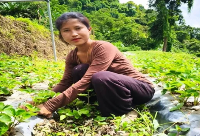 मारी जेडटी लालरिथांगी अपने खेत में 
