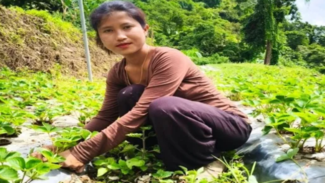 मारी जेडटी लालरिथांगी अपने खेत में