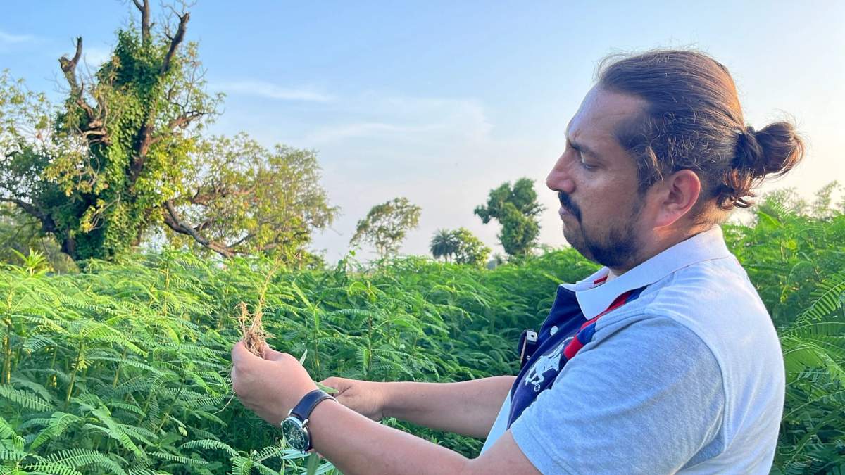 कृषि क्षेत्र की वो 5 योजनाएं जहां सबसे ज़्यादा खर्च करने वाली है सरकार