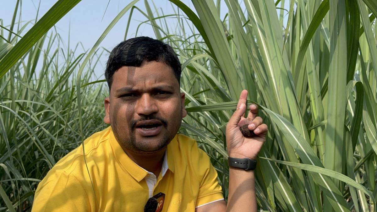 कम पानी में गन्ने की खेती और ड्रिप इरिगेशन की जरुरत- डॉ. अंकुश चोरमुले