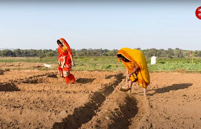 अंतरराष्ट्रीय महिला दिवस: देश की 62.9% ग्रामीण महिलाएँ कृषि क्षेत्र में कार्यरत