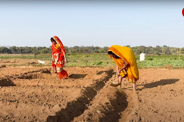 अंतरराष्ट्रीय महिला दिवस: देश की 62.9% ग्रामीण महिलाएँ कृषि क्षेत्र में कार्यरत