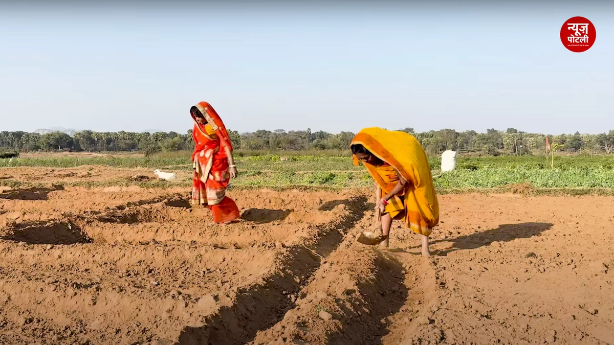 अंतरराष्ट्रीय महिला दिवस: देश की 62.9% ग्रामीण महिलाएँ कृषि क्षेत्र में कार्यरत