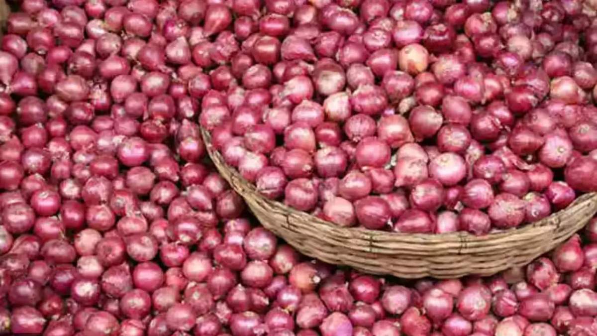 प्याज निर्यात पर केंद्र सरकार का बड़ा फैसला, 1 अप्रैल 2025 से लागू होगा नया नियम