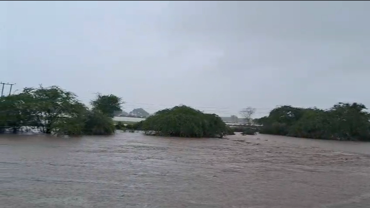 खेत के खेत बहे, संकट में भविष्य की खेती, गुजरात बाढ़ का विकराल रूप डराने वाला