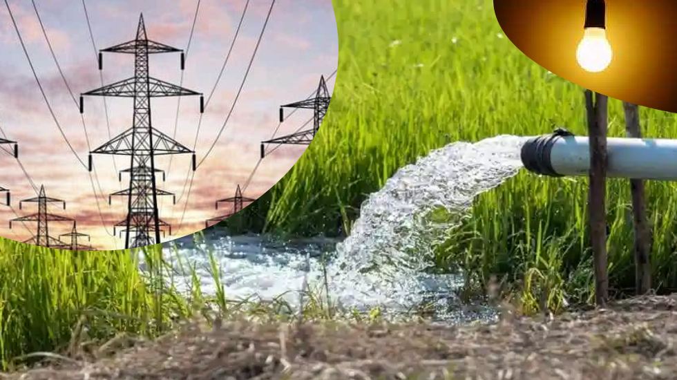 बिहार में के एक अप्रैल से सस्ती हो जाएगी बिजली, किसानों को होगा फायदा