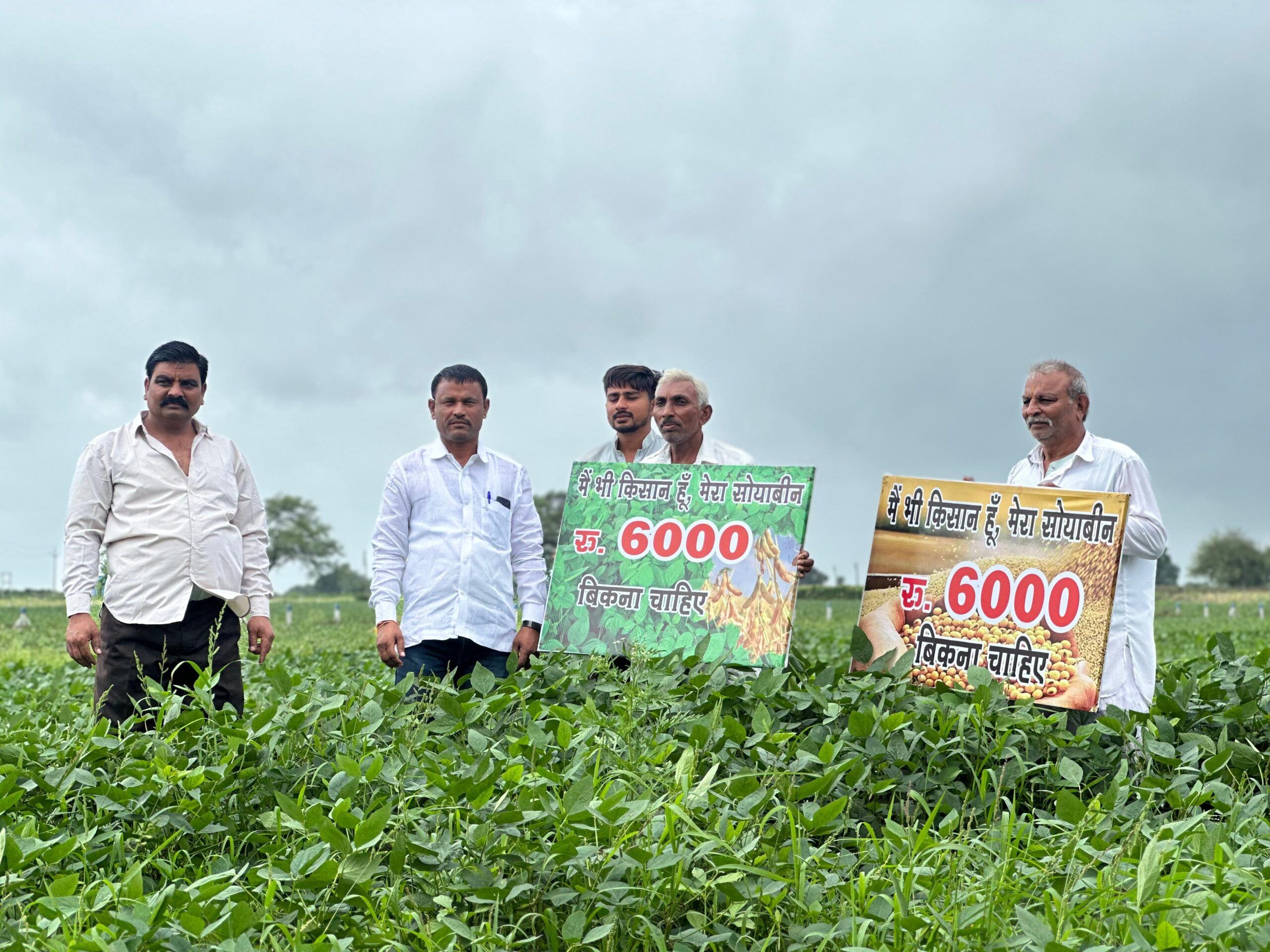 मध्य प्रदेश में सोया पंचायत करेंगे किसान संगठन, सोयाबीन की MSP ₹6000 करने की मांग ने पकड़ा जोर