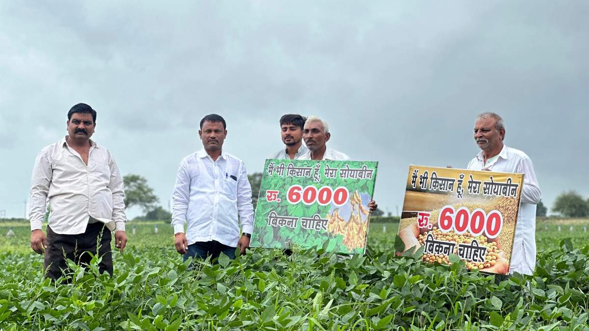 मध्य प्रदेश में सोया पंचायत करेंगे किसान संगठन, सोयाबीन की MSP ₹6000 करने की मांग ने पकड़ा जोर