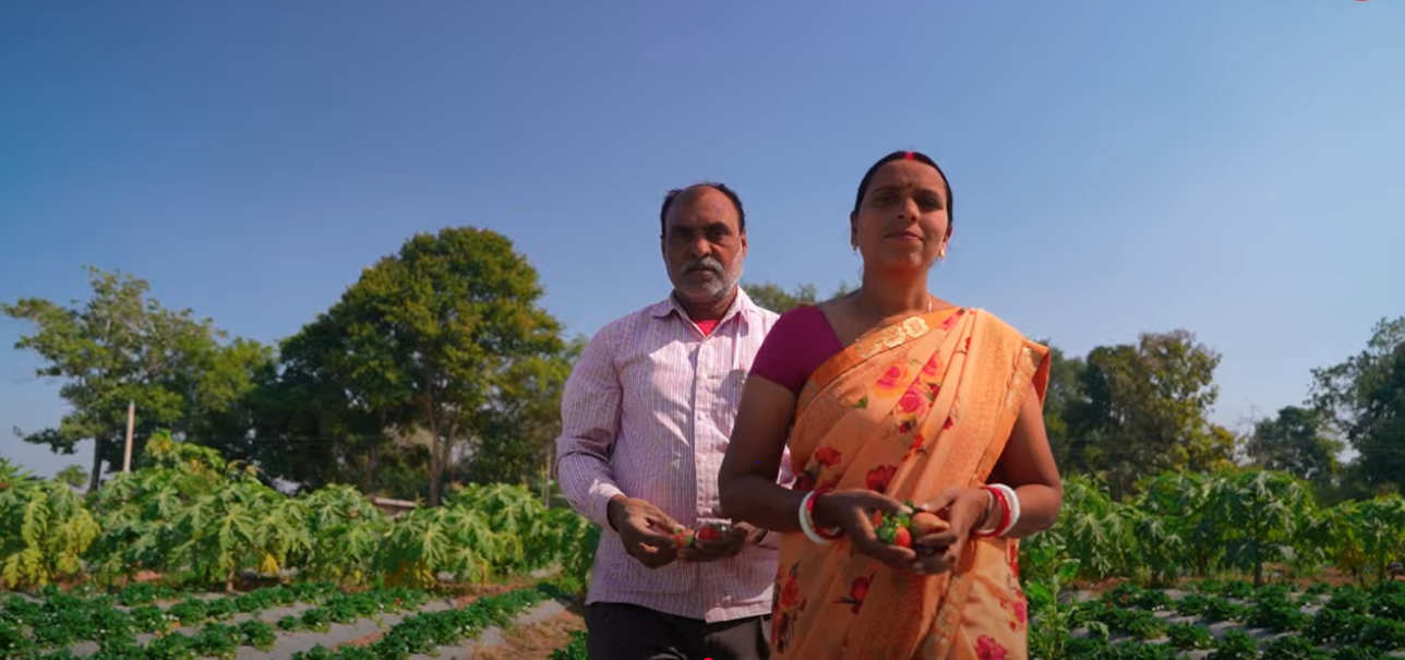 झारखंड: खेती का ‘स्मार्ट फॉर्मूला’, एक साल में 10 फसलें उगाता है ये किसान दंपति
