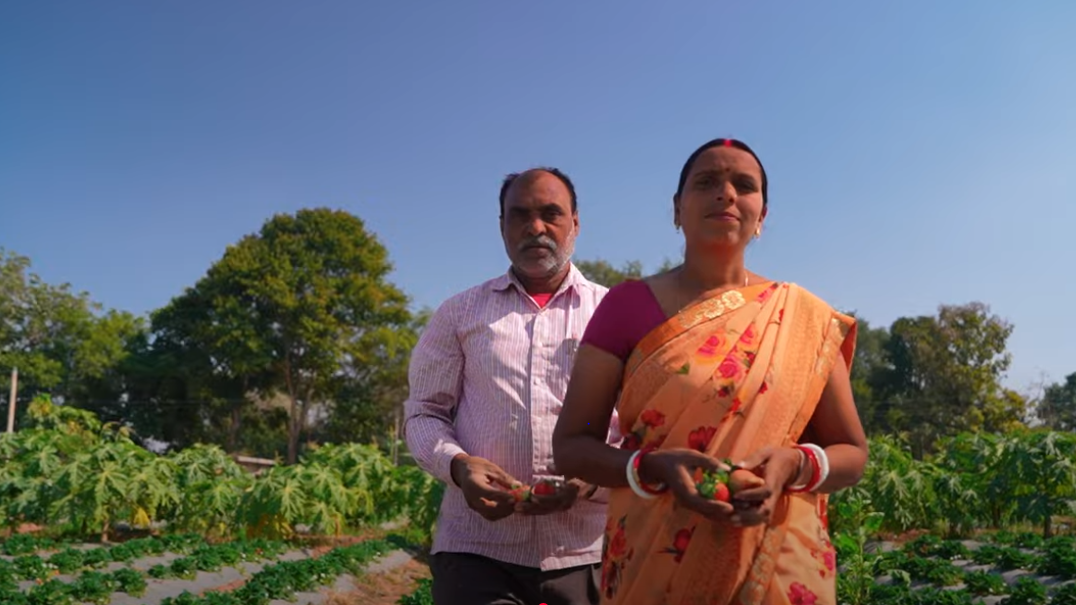 झारखंड: खेती का ‘स्मार्ट फॉर्मूला’, एक साल में 10 फसलें उगाता है ये किसान दंपति
