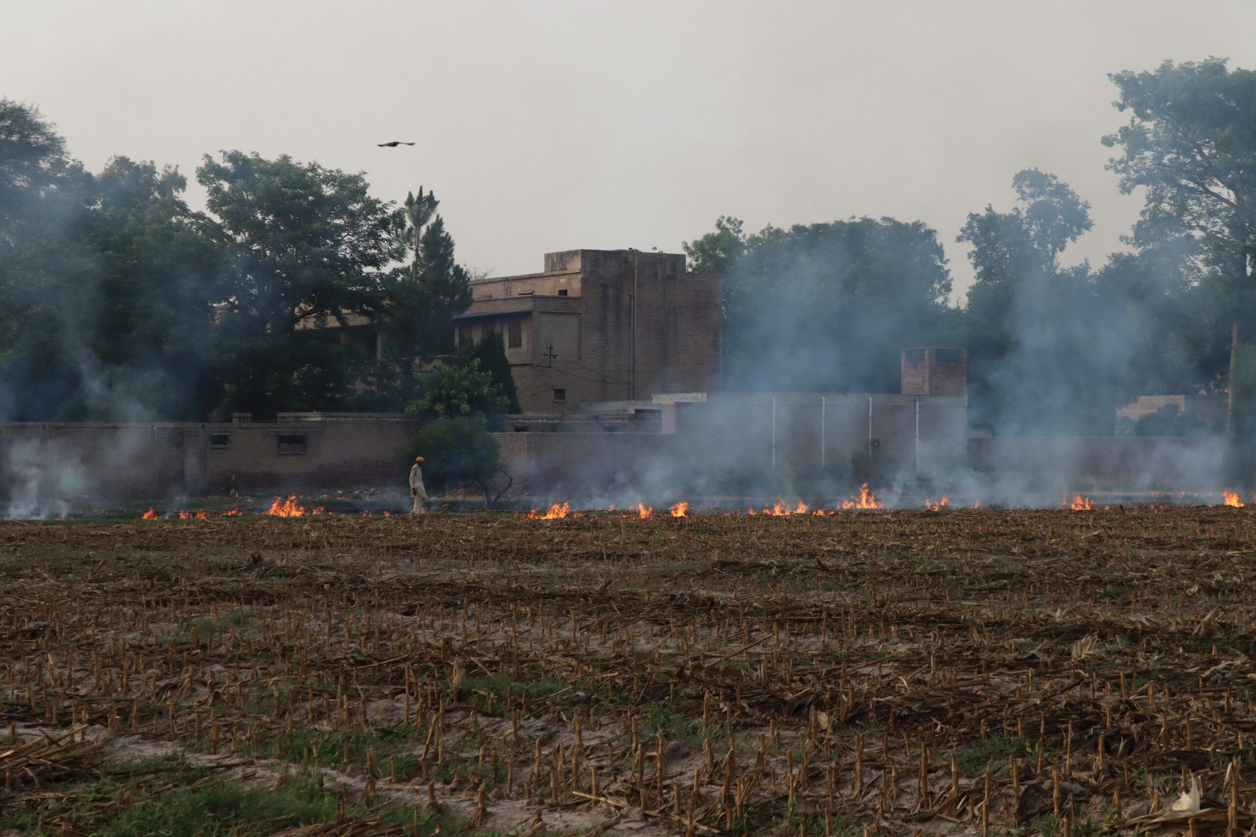 पराली से सिर्फ पर्यावरण को नुकसान नहीं, खेत, पैसा, स्वास्थ्य सब बर्बाद हो रहा