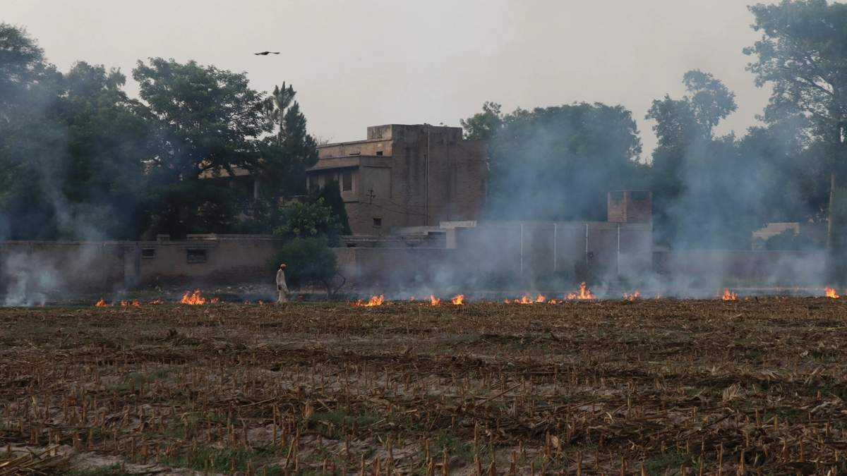 पराली से सिर्फ पर्यावरण को नुकसान नहीं, खेत, पैसा, स्वास्थ्य सब बर्बाद हो रहा